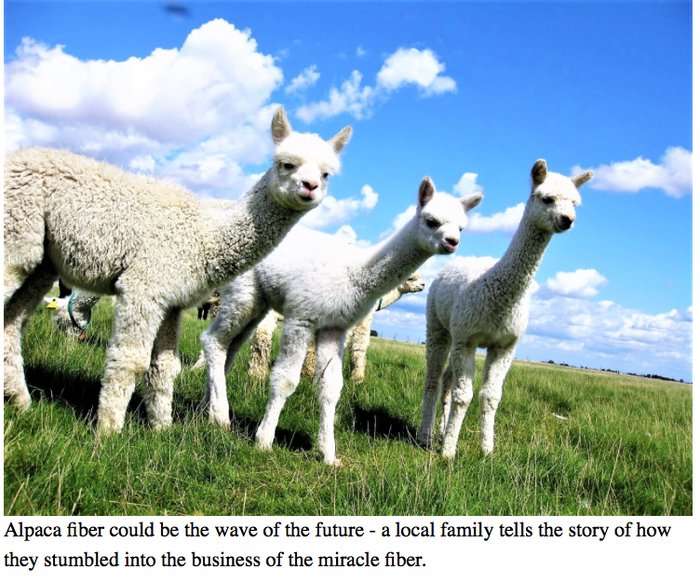 Check out our first press release in the Shawangunk Journal!