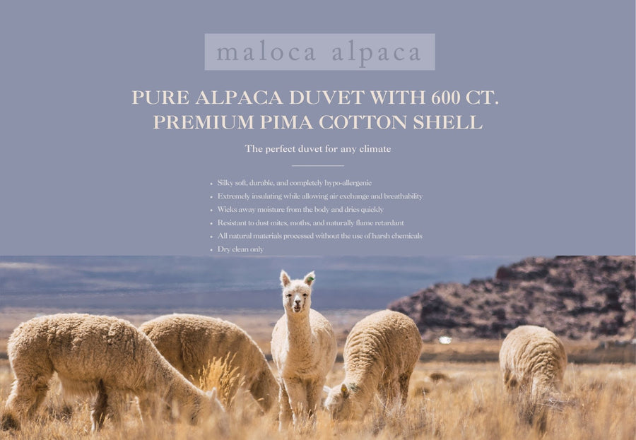 Pure Alpaca Duvet with 600 Count Pima Cotton Shell, Maloca Alpaca All Season Blanket Duvet filled with Pure Alpaca Fiber, Hypoallergenic!